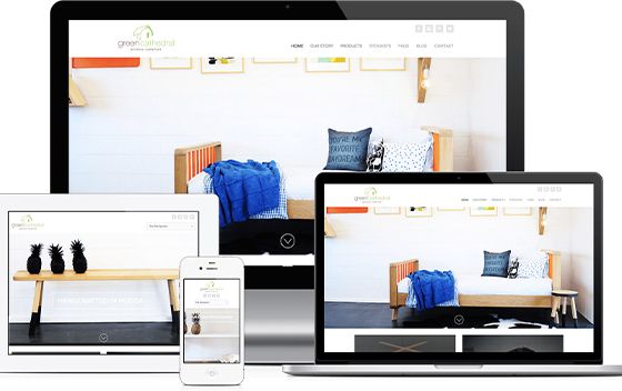 ecommerce solution custom ecommerce website