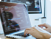 Web Development