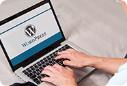WordPress Development